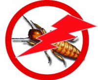 ระบบใหม่ของการกำจัดปลวก ระบบใหม่ของการกำจัดปลวก