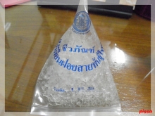 ไส้เ้ดือนฝอยกับการกำจัดปลวก...ในวันสิ่งแวดล้อมโลก..... ไส้เ้ดือนฝอยกับการกำจัดปลวก...ในวันสิ่งแวดล้อมโลก.....