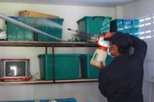 เคล็ดลับดีๆหน้าฝน เคล็ดลับดีๆหน้าฝน